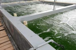 395238dd336caa843aca5ba917754735_9fc8b771e61b4002a4549e0fbc6689ae